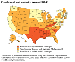 food insecurity